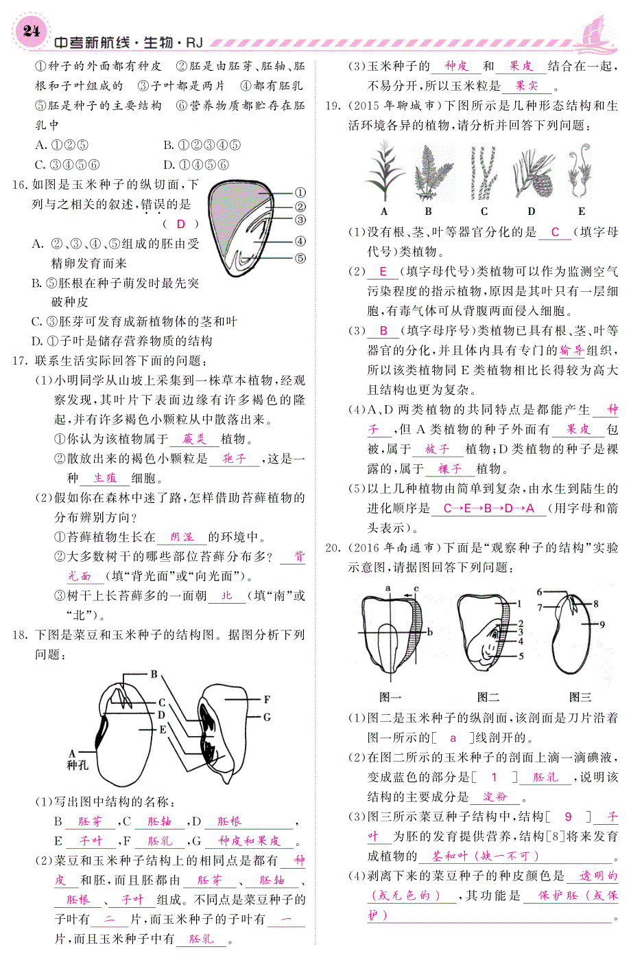 中考生物 第一轮系统复习 七上 第三单元 生物圈中的绿色植物（pdf） 新人教版1_第4页