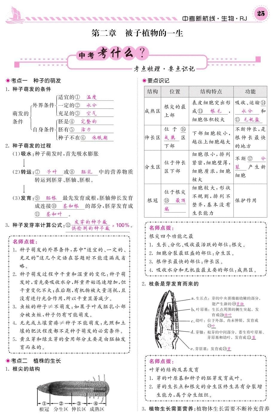 中考生物 第一轮系统复习 七上 第三单元 生物圈中的绿色植物（pdf） 新人教版1_第5页