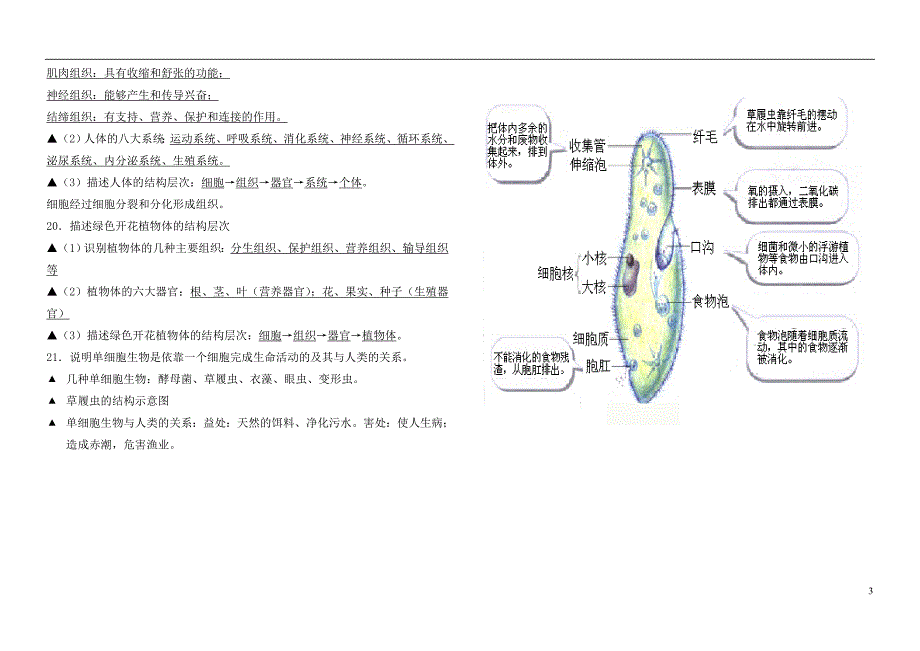 中考生物复习参考 第二单元 生物体的结构层次知识点小结1_第3页