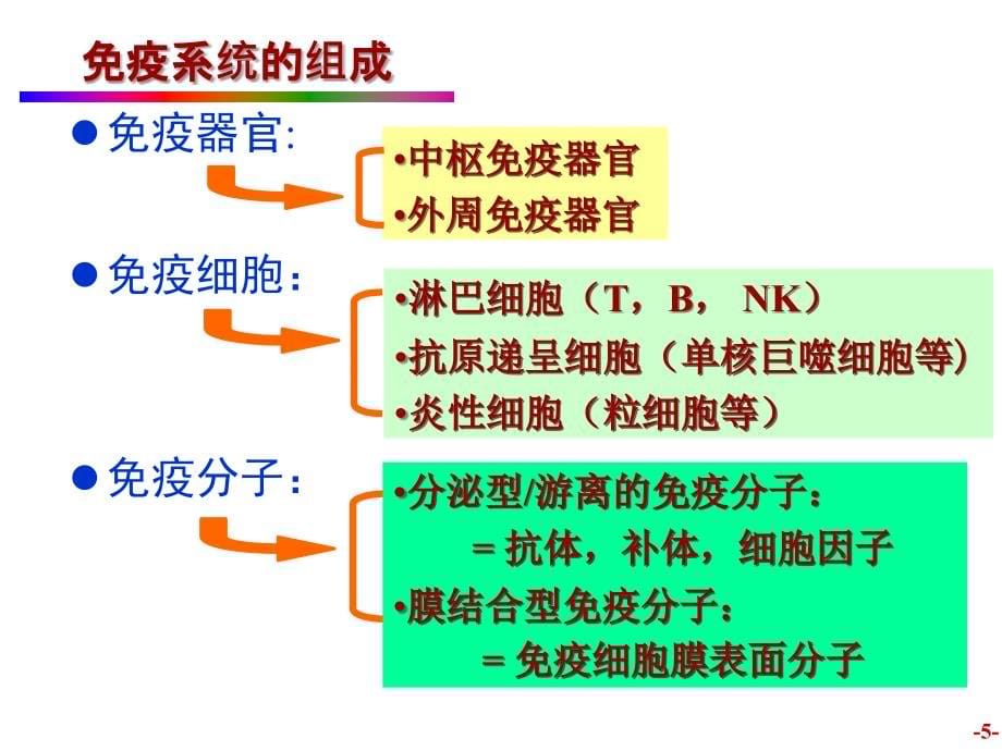 医学免疫学免疫器官和免疫细胞ppt课件-ppt文档_第5页