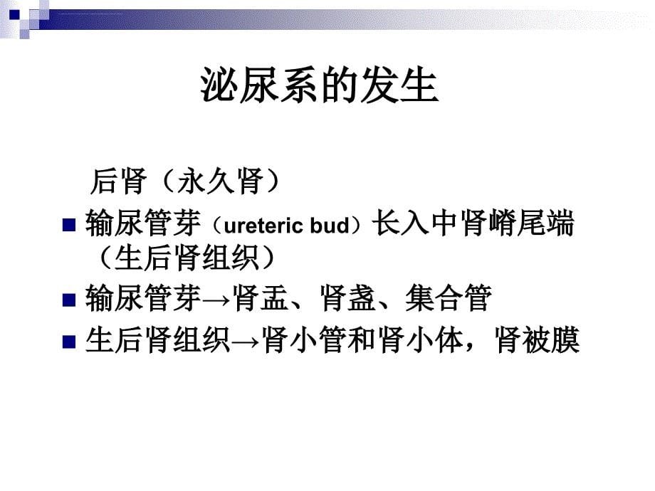 泌尿生殖系统畸形（叶章群）资料课件_第5页