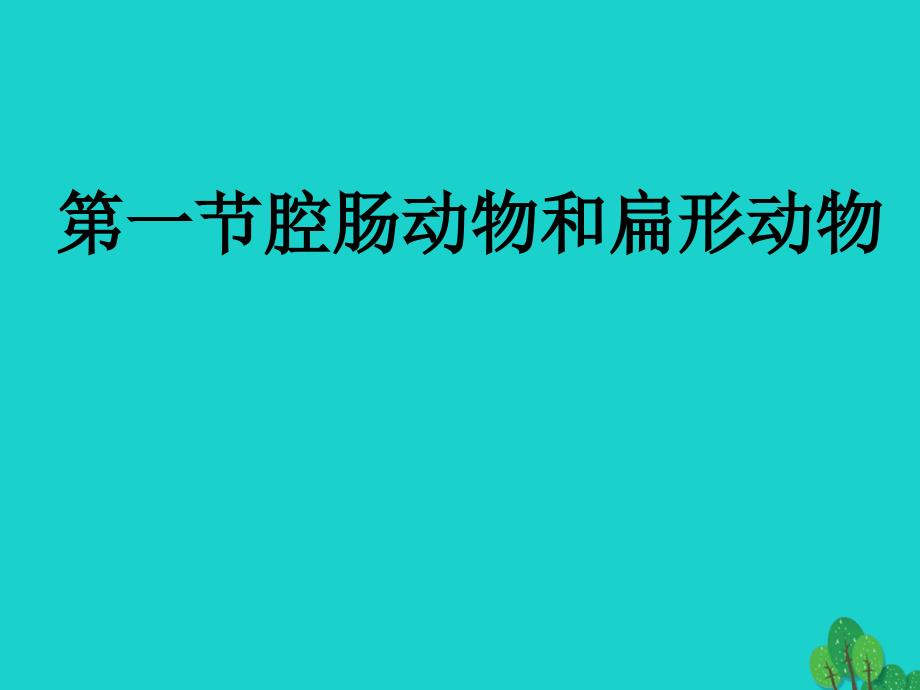 八年级生物上册 5_1_1 腔肠动物、扁形动物课件 （新版）新人教版_第2页