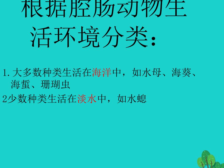 八年级生物上册 5_1_1 腔肠动物、扁形动物课件 （新版）新人教版_第3页