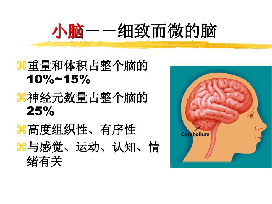 小脑共济失调课件_第2页