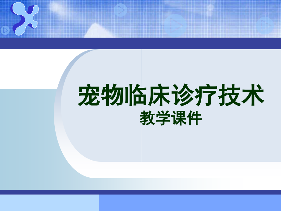 宠物神经系统临床检查概要课件_第1页