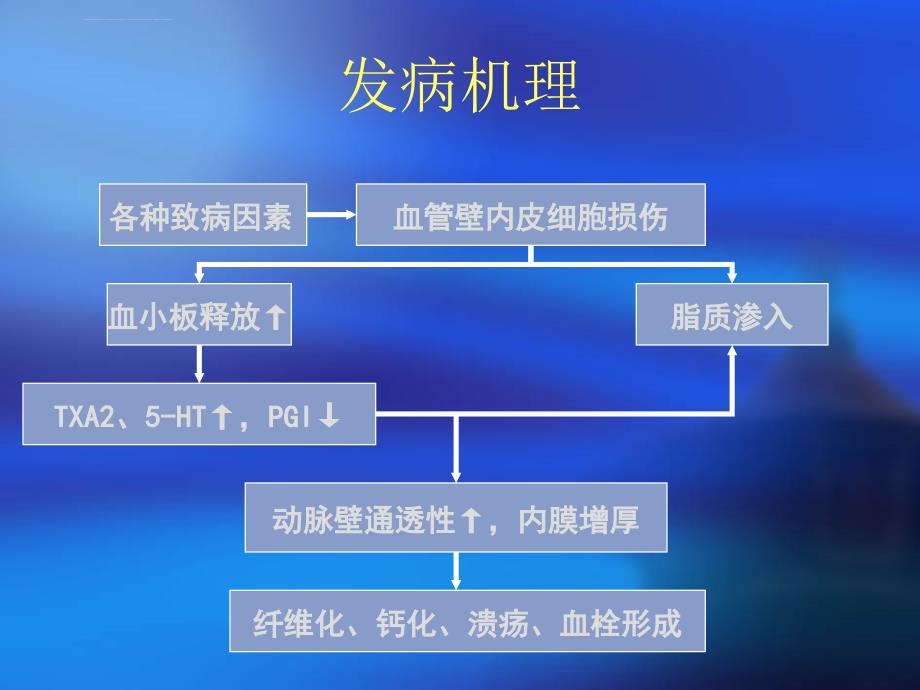 冠心病之心绞痛ppt课件_第4页