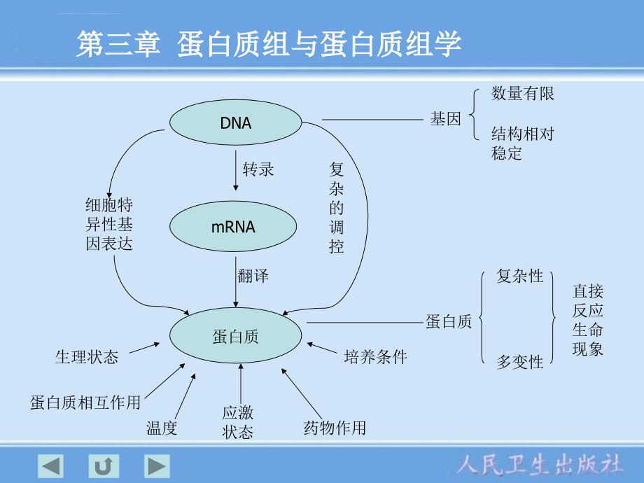 分子生物学检验技术第3章课件_第2页