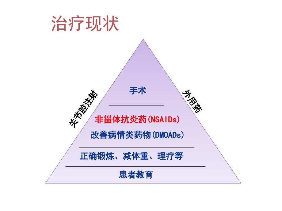 从骨关节炎指南演变看nsaids在骨关节中的意义讲义课件_第3页