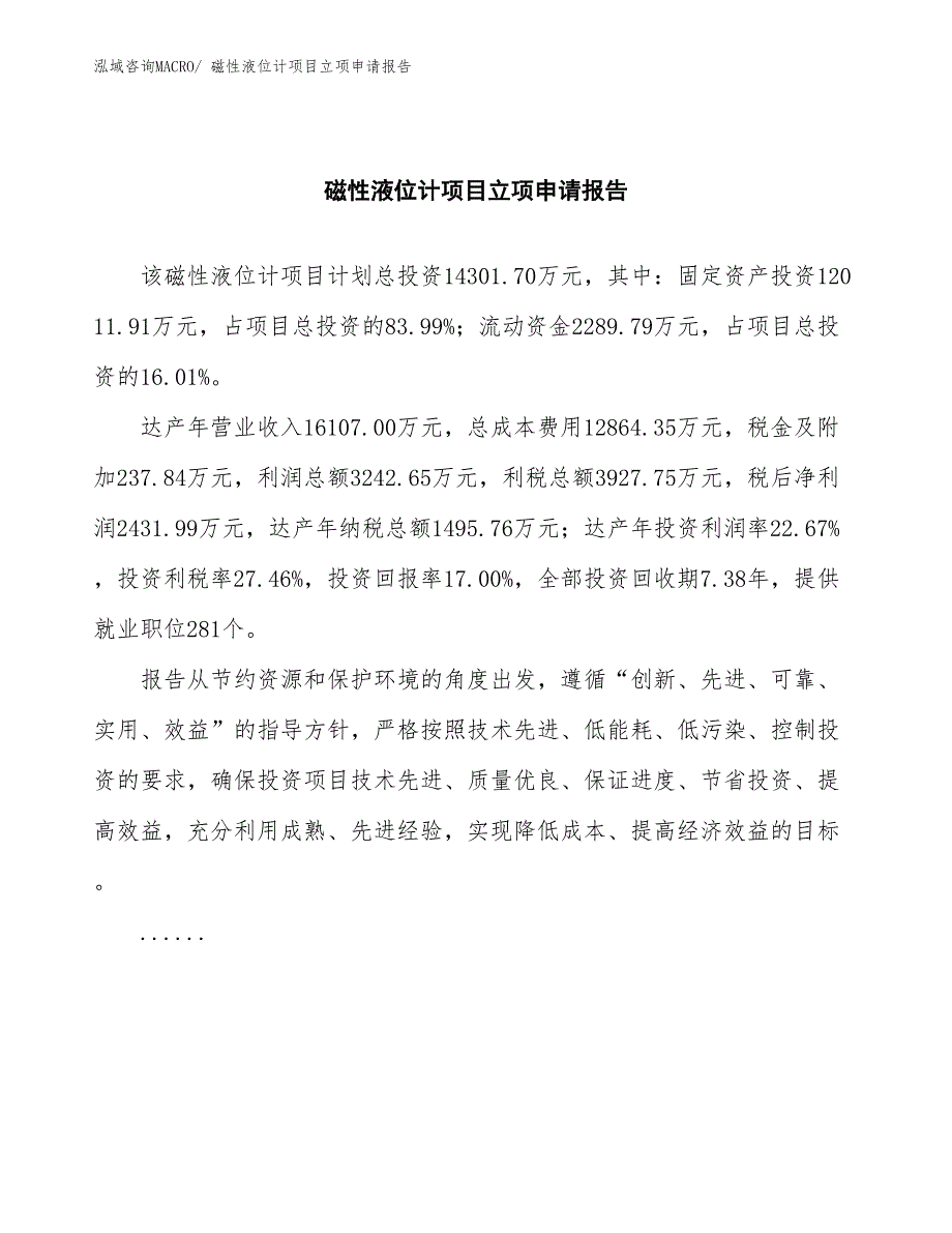 磁性液位计项目立项申请报告(总投资14301.70万元)_第2页