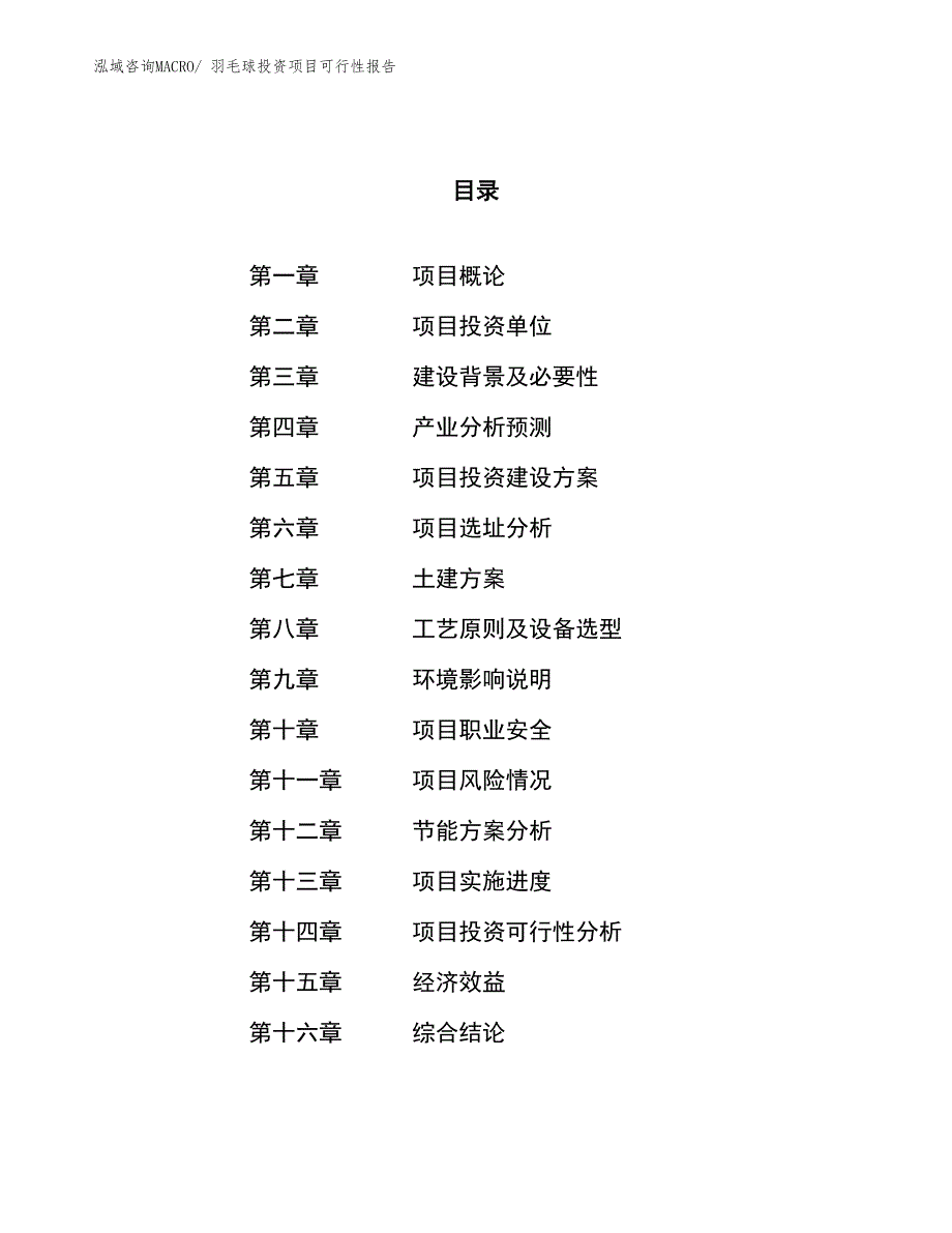 羽毛球投资项目可行性报告(总投资15041.29万元)_第1页