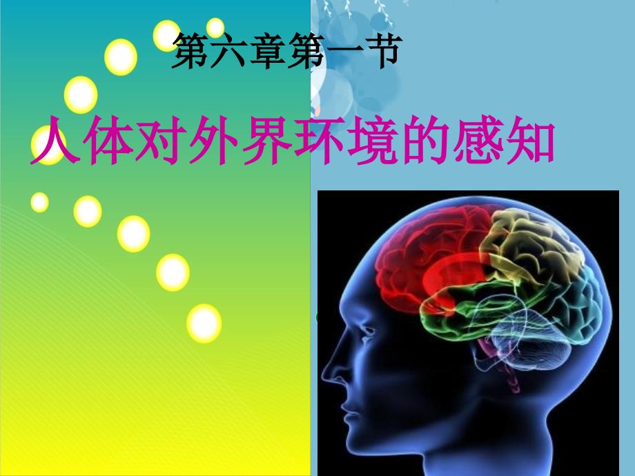 人教版七年级下册生物4.6.1人体对外界环境的感知课件_第1页