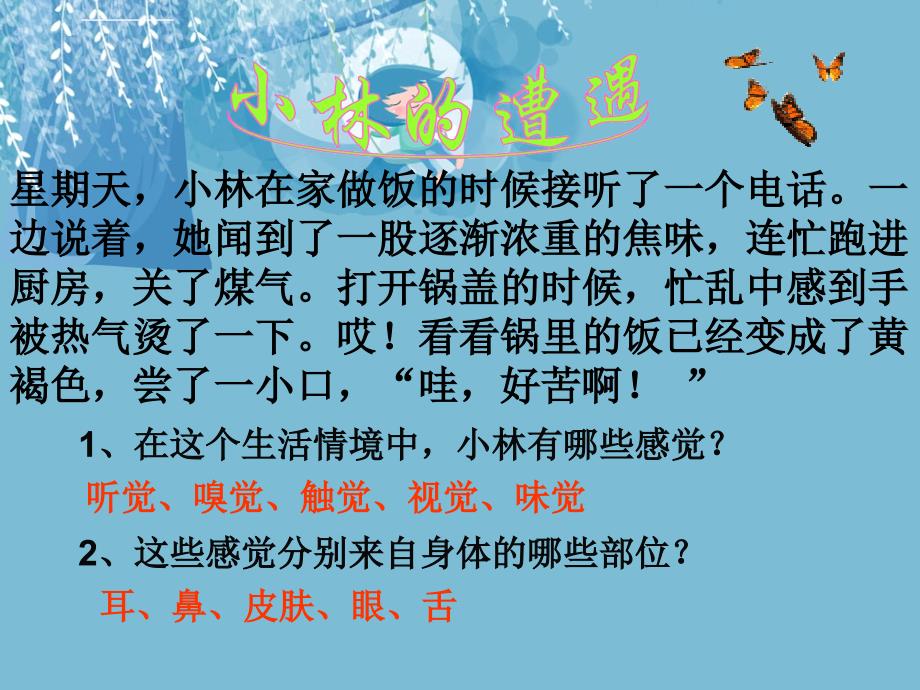 人教版七年级下册生物4.6.1人体对外界环境的感知课件_第2页