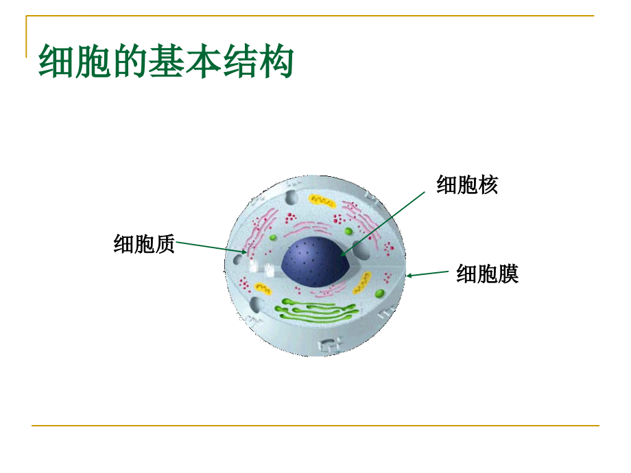 人体的基本生理功能(医学检验)---第四章课件_第3页