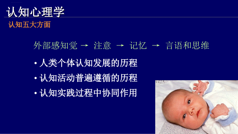 儿童认知心理专科--副本课件_第4页