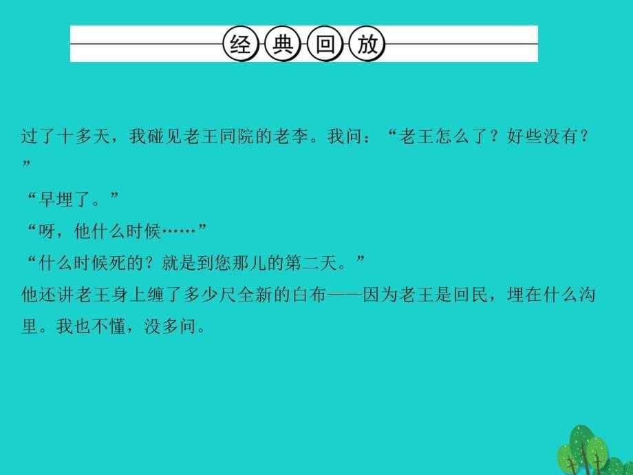 中考语文总复习 第3部分 现代文阅读 第十九讲 个性表达课件1_第5页