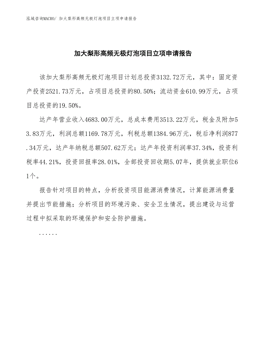 加大梨形高频无极灯泡项目立项申请报告(总投资3132.72万元)_第2页