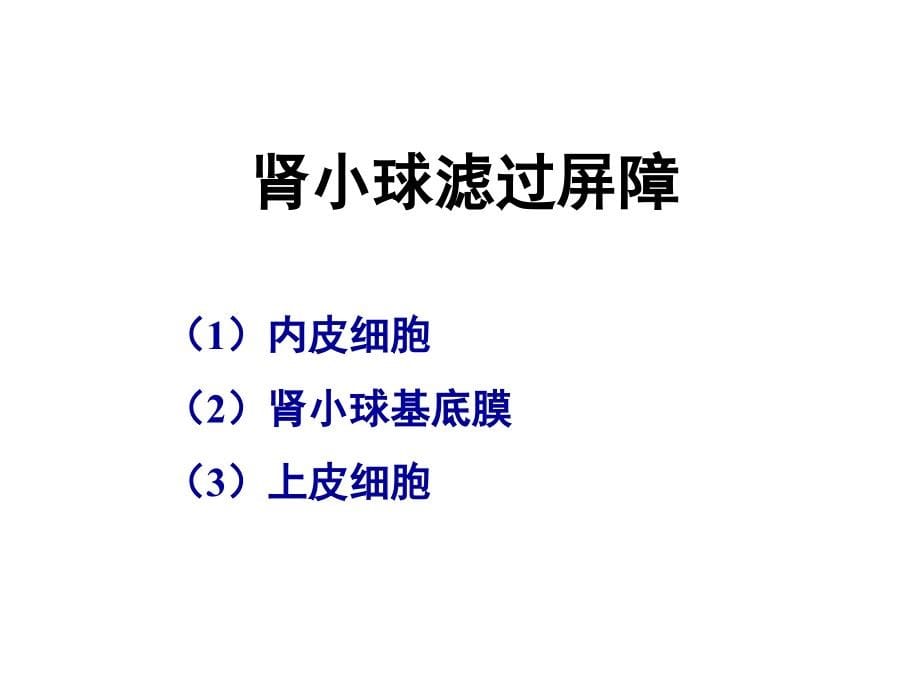 泌尿总论肾小球概病述剖析课件_第5页