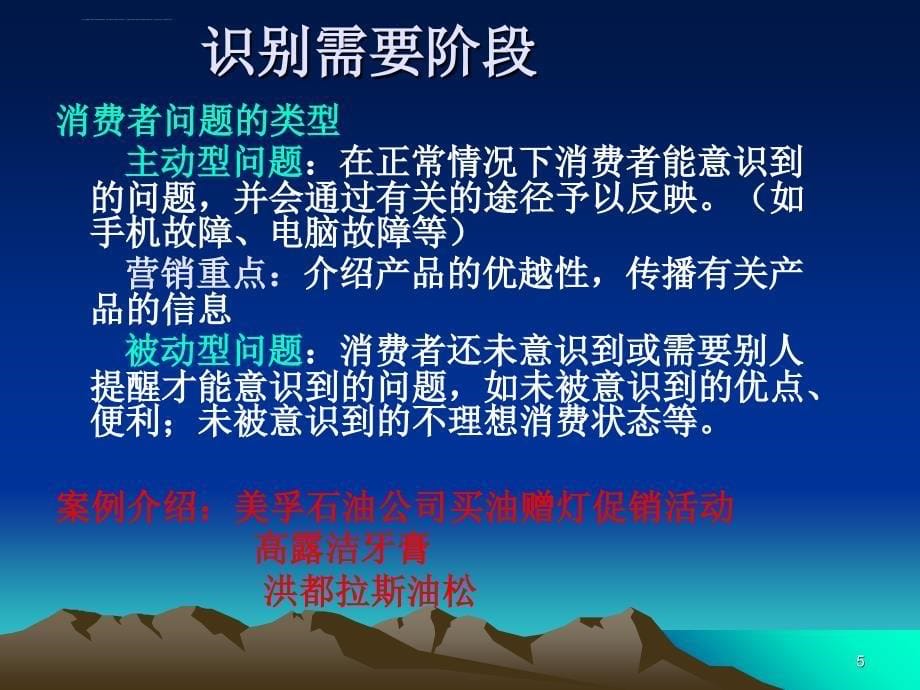 消费者的购买行为与决策课件_第5页