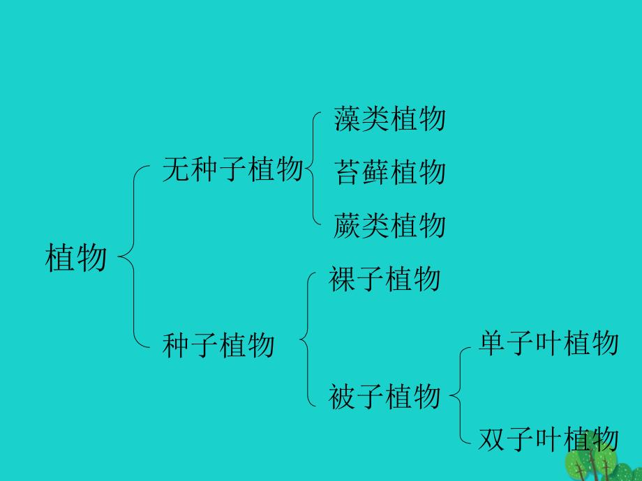 八年级生物上册 第五单元 第一章 第一节 腔肠动物和扁形动物课件 （新版）新人教版1_第3页