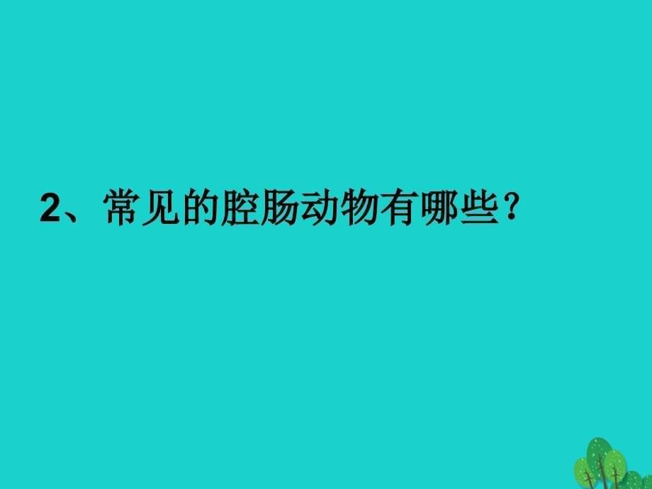 八年级生物上册 第五单元 第一章 第一节 腔肠动物和扁形动物课件 （新版）新人教版1_第5页