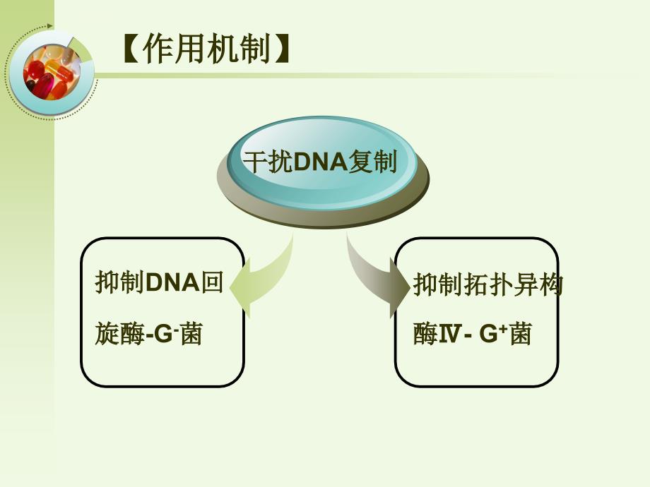 人工合成抗菌药药理学课件_第2页