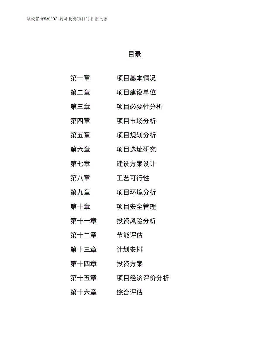 转马投资项目可行性报告(总投资20107.13万元)_第1页