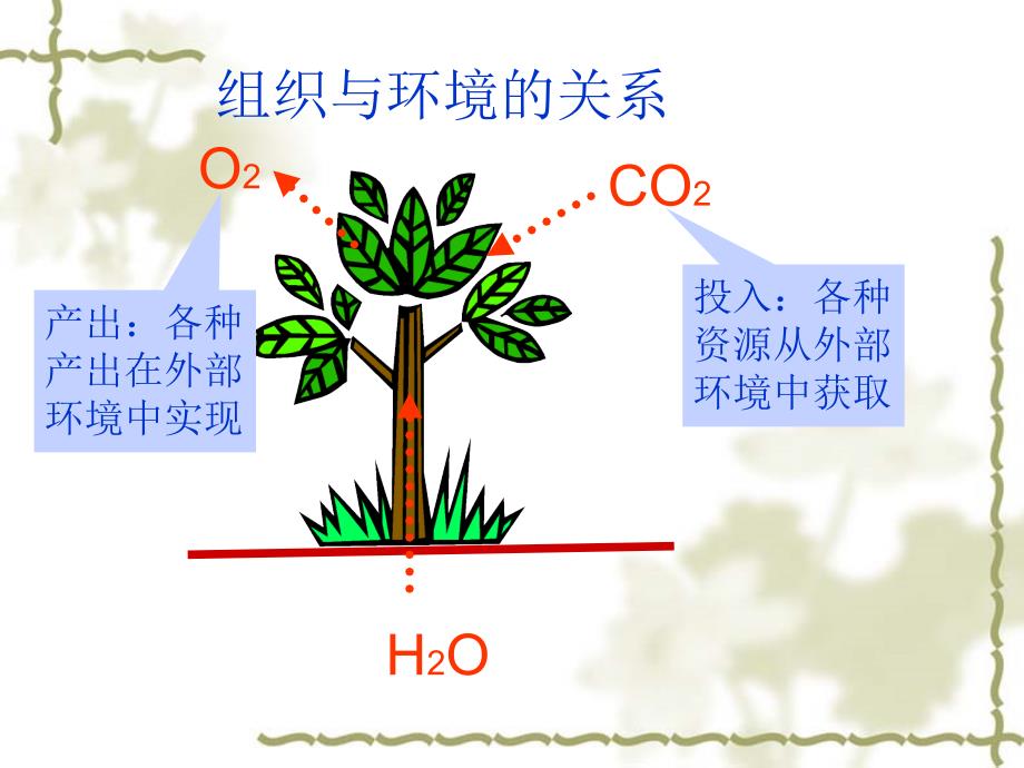 宏观环境-行业-竞争对手分析幻灯片_第3页