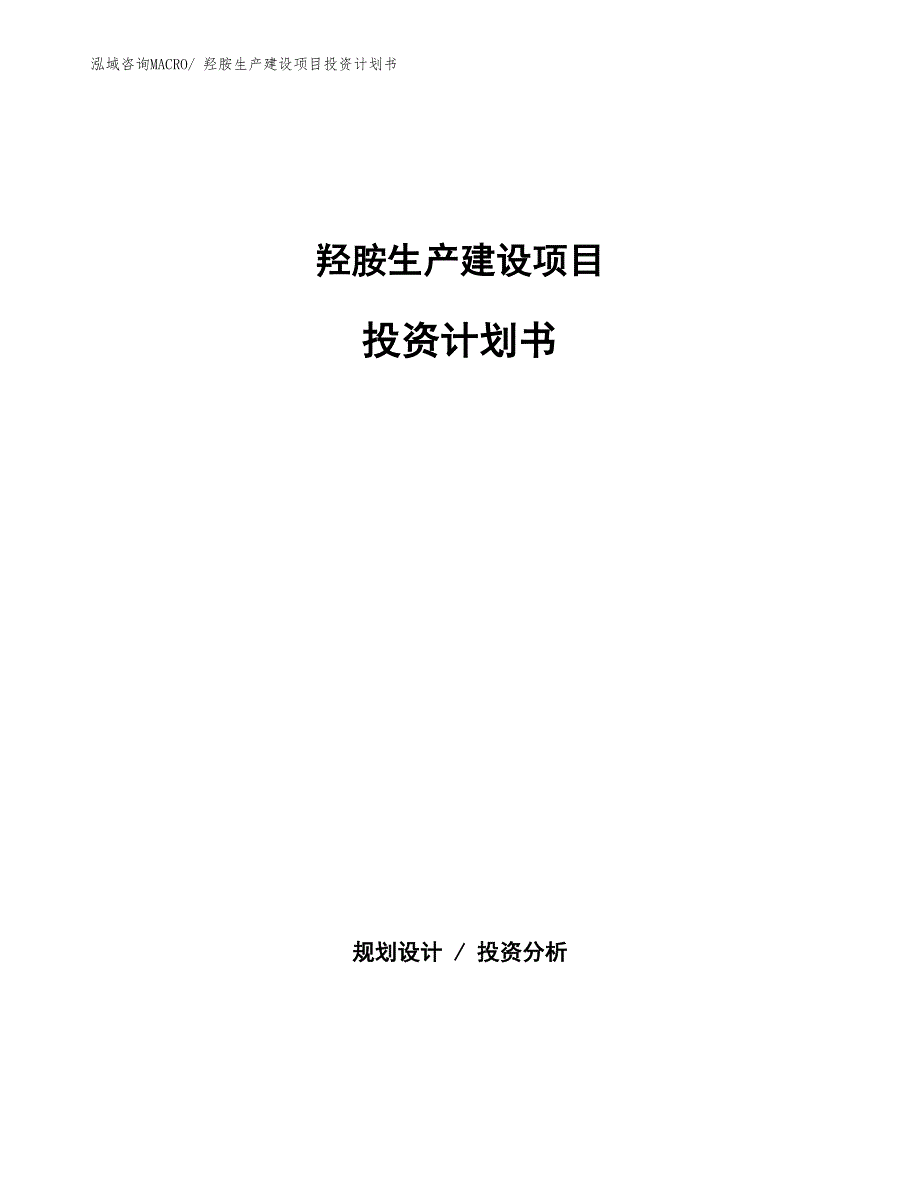 羟胺生产建设项目投资计划书(总投资3925.09万元)_第1页