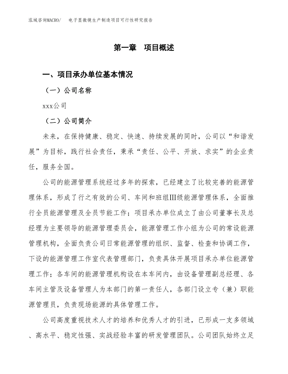 电子显微镜生产制造项目可行性研究报告_第4页