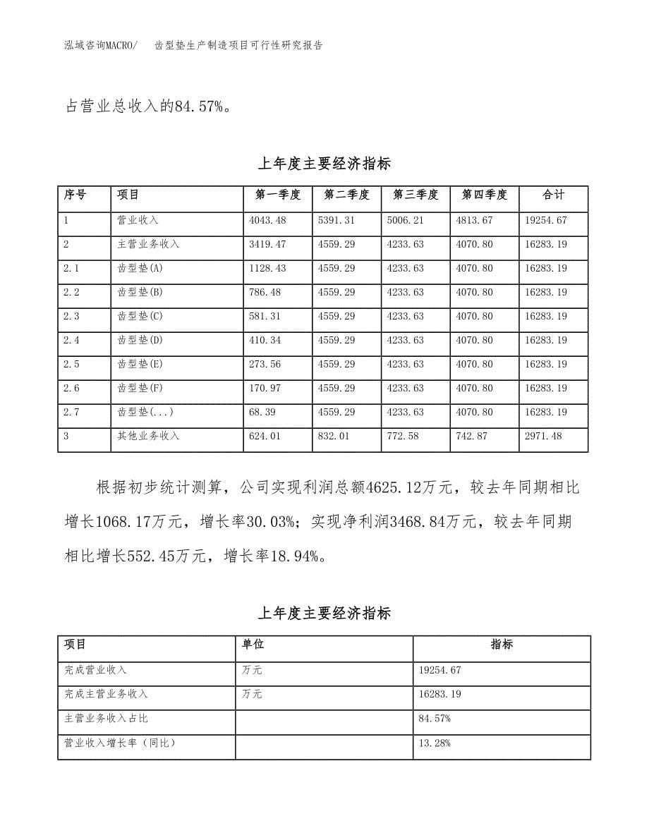 齿型垫生产制造项目可行性研究报告 (1)_第5页