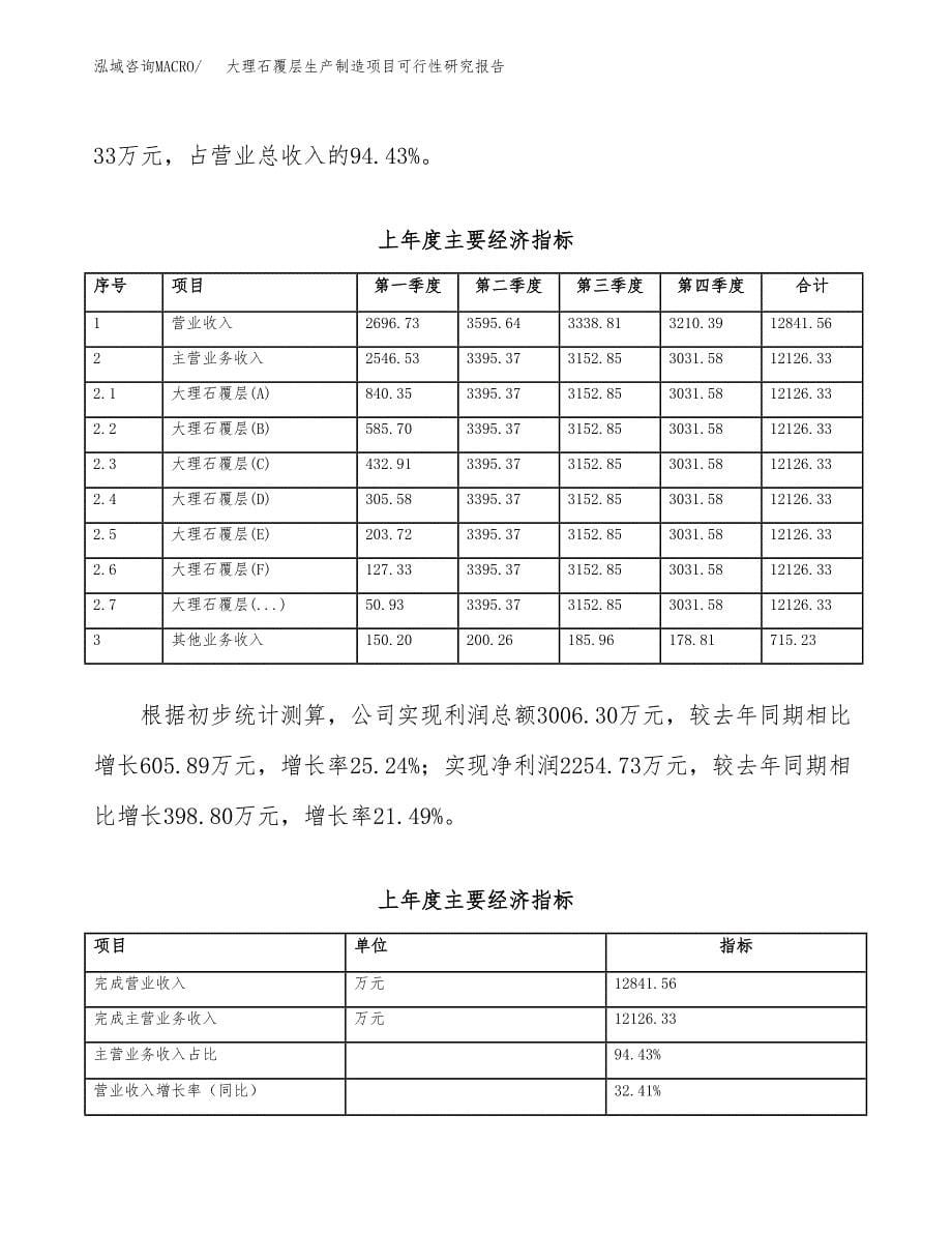 大理石覆层生产制造项目可行性研究报告_第5页