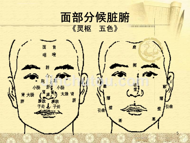 中医基础理论绪论2课件_第5页