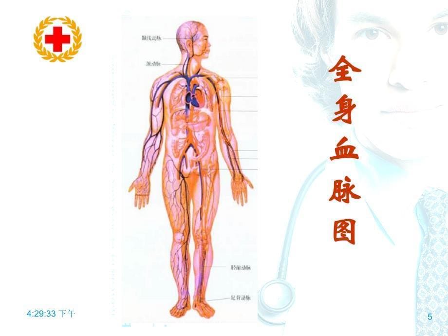 创伤包扎-ppt课件_第5页