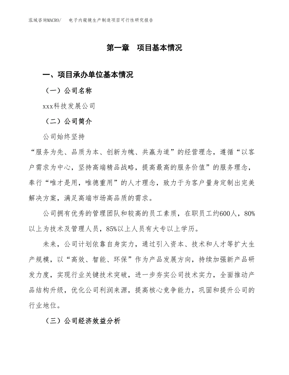 电子内窥镜生产制造项目可行性研究报告_第4页