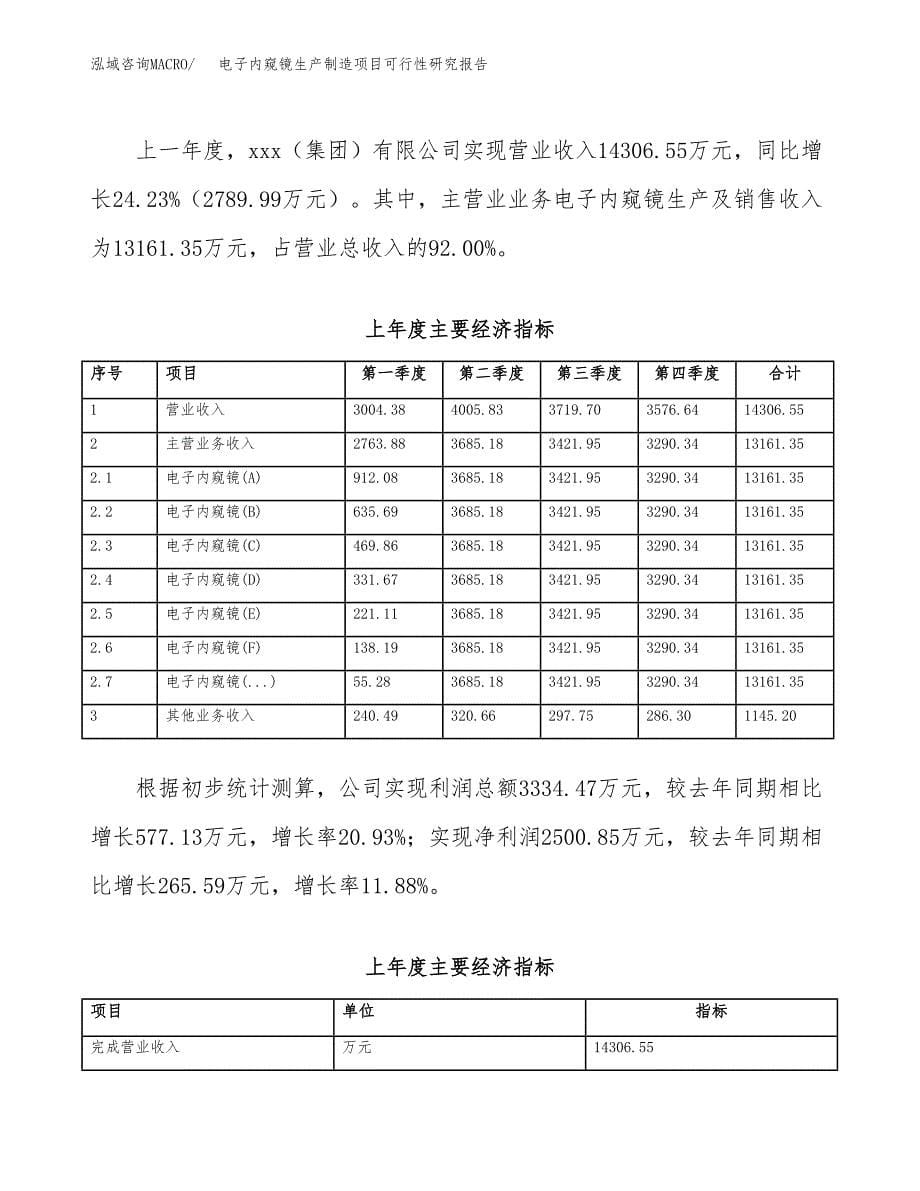 电子内窥镜生产制造项目可行性研究报告_第5页