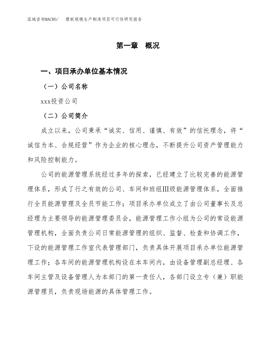 摆板视镜生产制造项目可行性研究报告_第4页