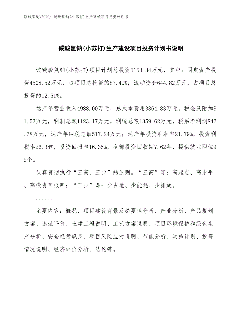 碳酸氢钠(小苏打)生产建设项目投资计划书(总投资5153.34万元)_第2页