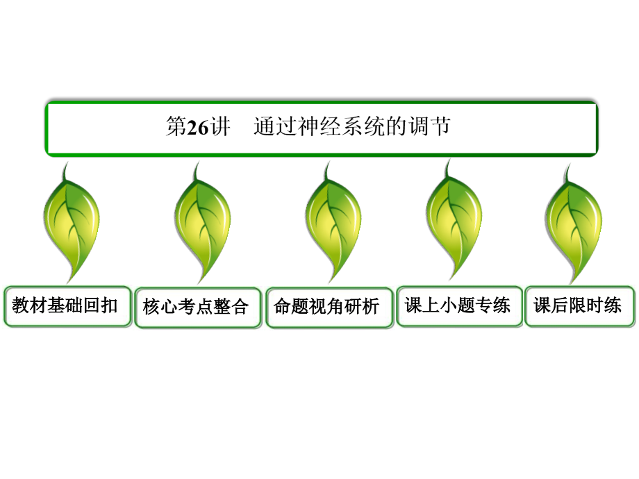 2014届高三生物一轮复习专题课件：必修三-1-26-通过神经系统调节_第3页