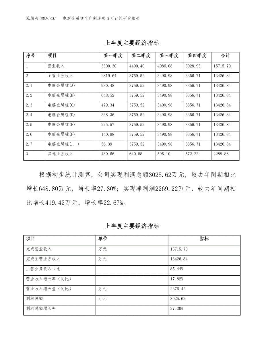 电解金属锰生产制造项目可行性研究报告_第5页