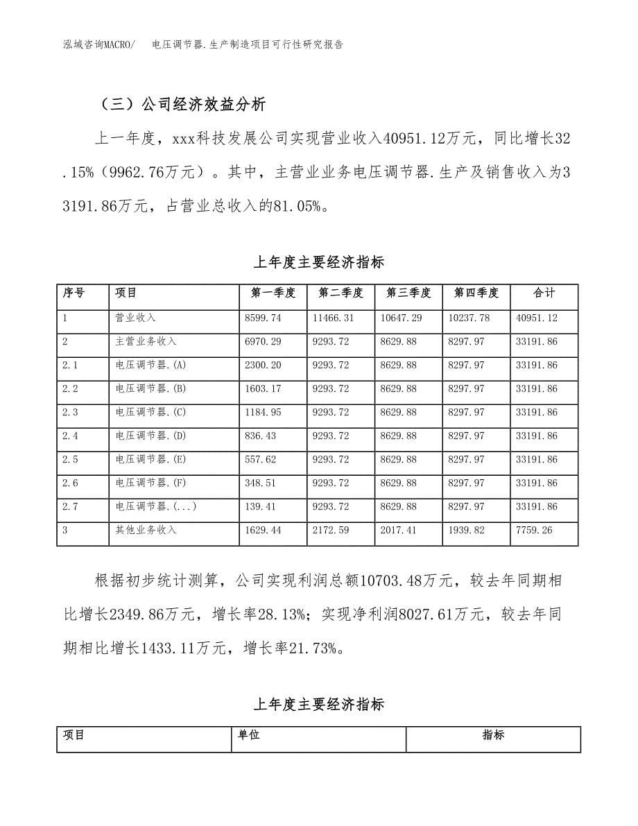 电压调节器.生产制造项目可行性研究报告_第5页