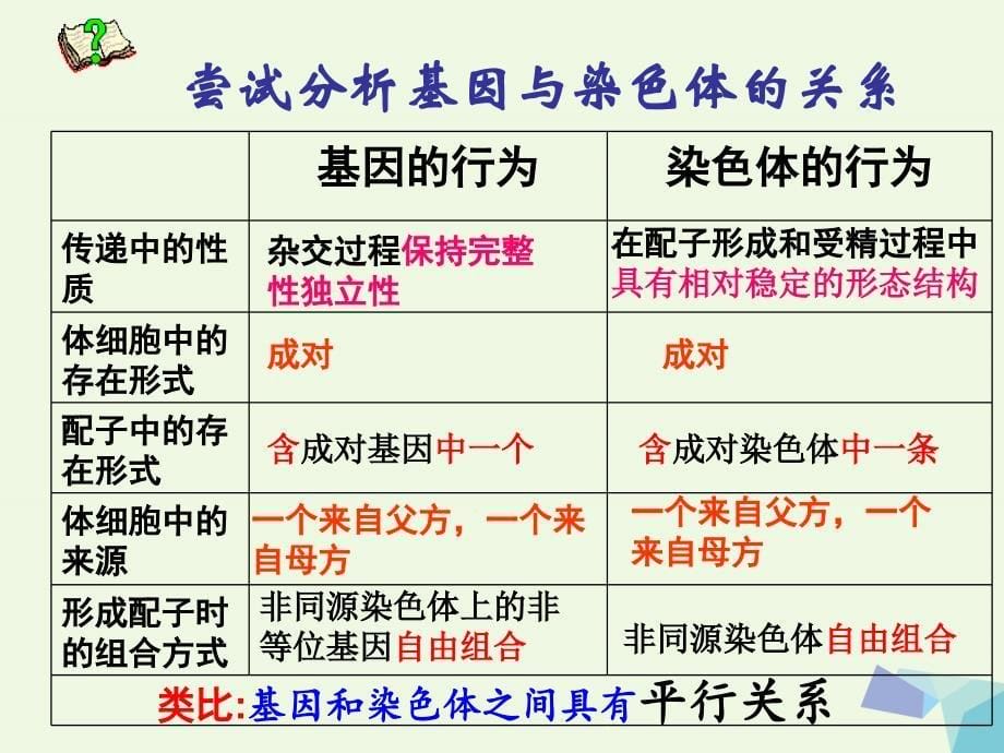 高中生物 2_2 基因在染色体上（第一课时）课件 新人教版必修21_第5页