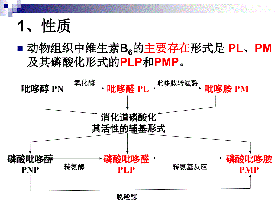 《烹饪营养学》第十讲-水溶性维生素(二)-2017版_第4页