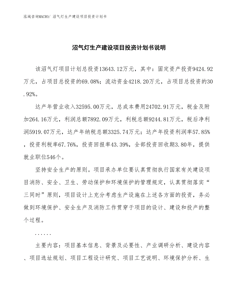 沼气灯生产建设项目投资计划书(总投资13643.12万元)_第2页