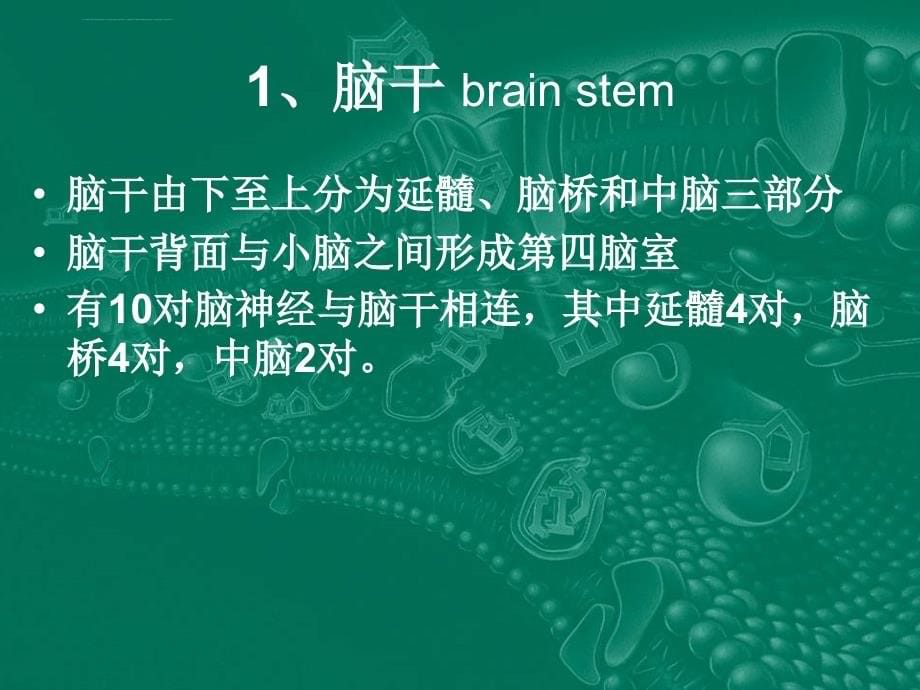 神经外科教学.课件_第5页