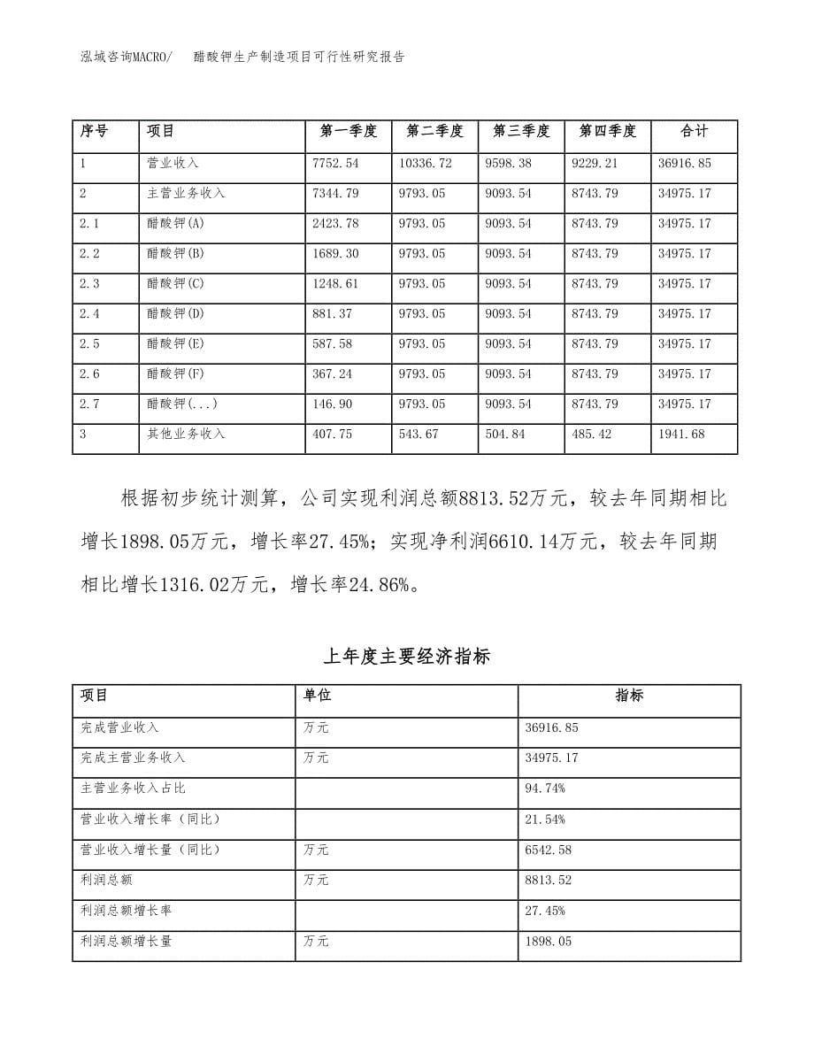 醋酸钾生产制造项目可行性研究报告_第5页