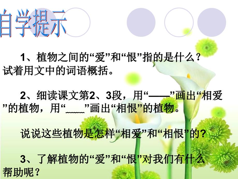 《29 植物之间的“爱”和“恨”》课件小学语文西南师大版三年级下册(4)_第2页