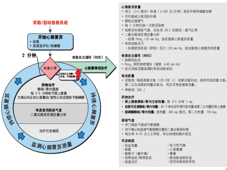 爱爱医资源-2012心肺复苏培训幻灯片(教)_第4页