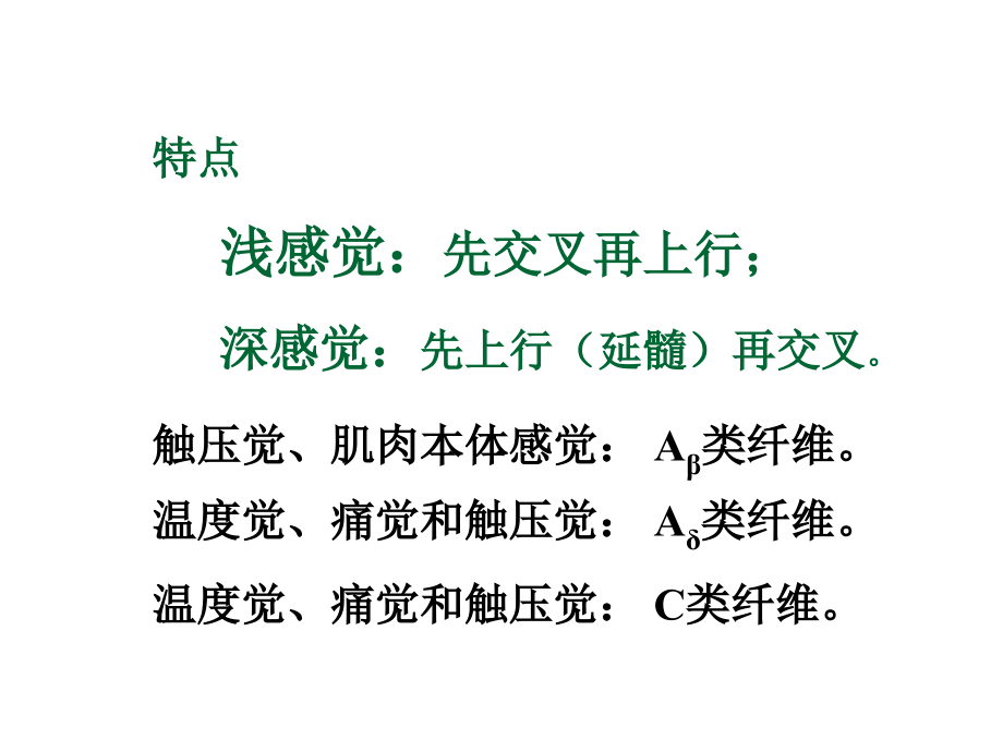 2018年生理学杨莉神经系统功能(二)ppt课件-文档资料_第4页