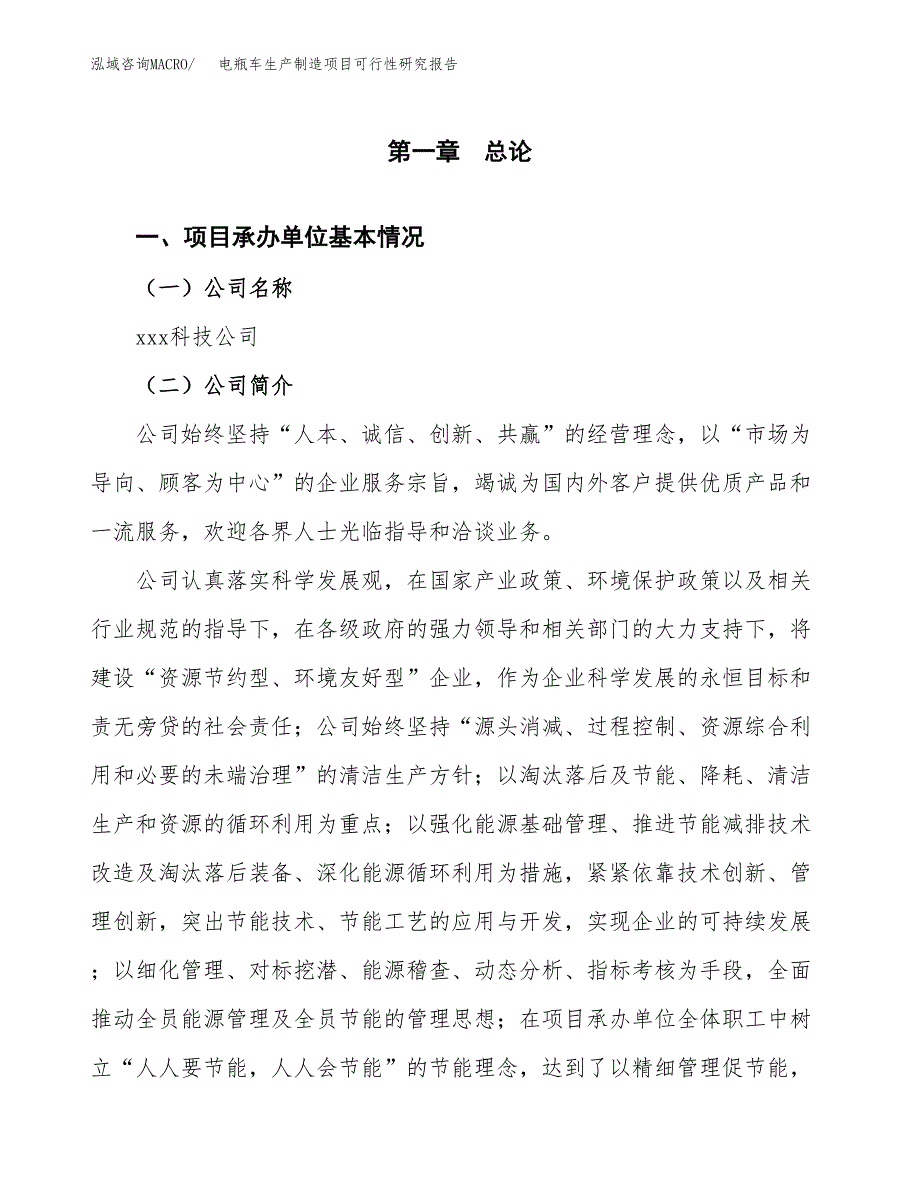 电瓶车生产制造项目可行性研究报告_第4页