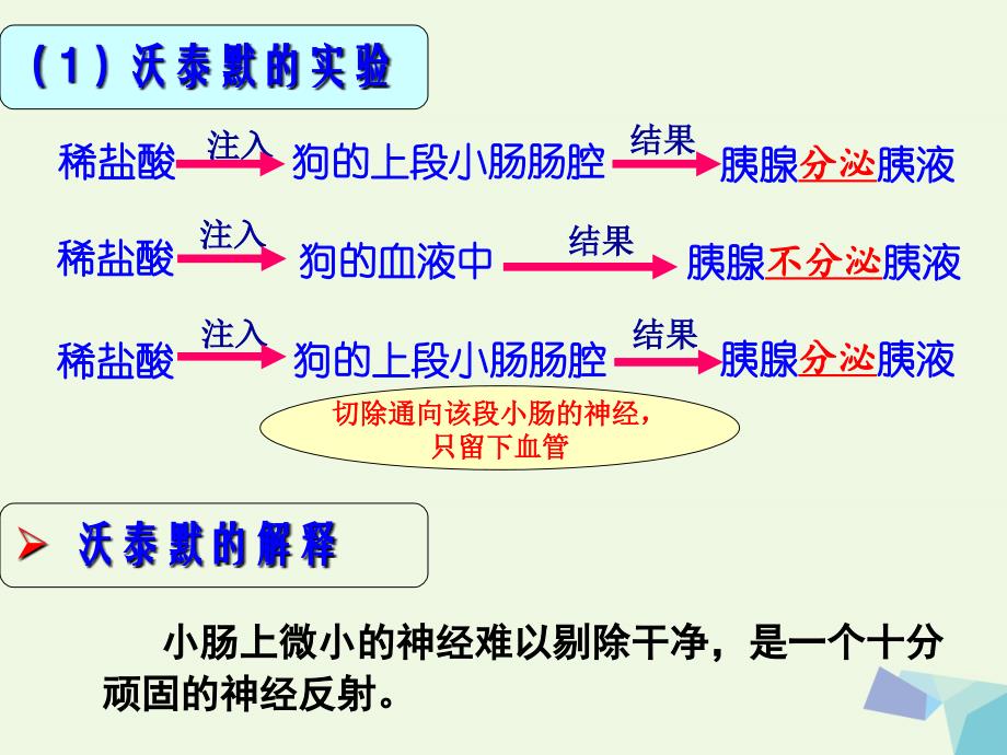 高中生物 2_2 通过激素调节课件 新人教版必修3__第3页